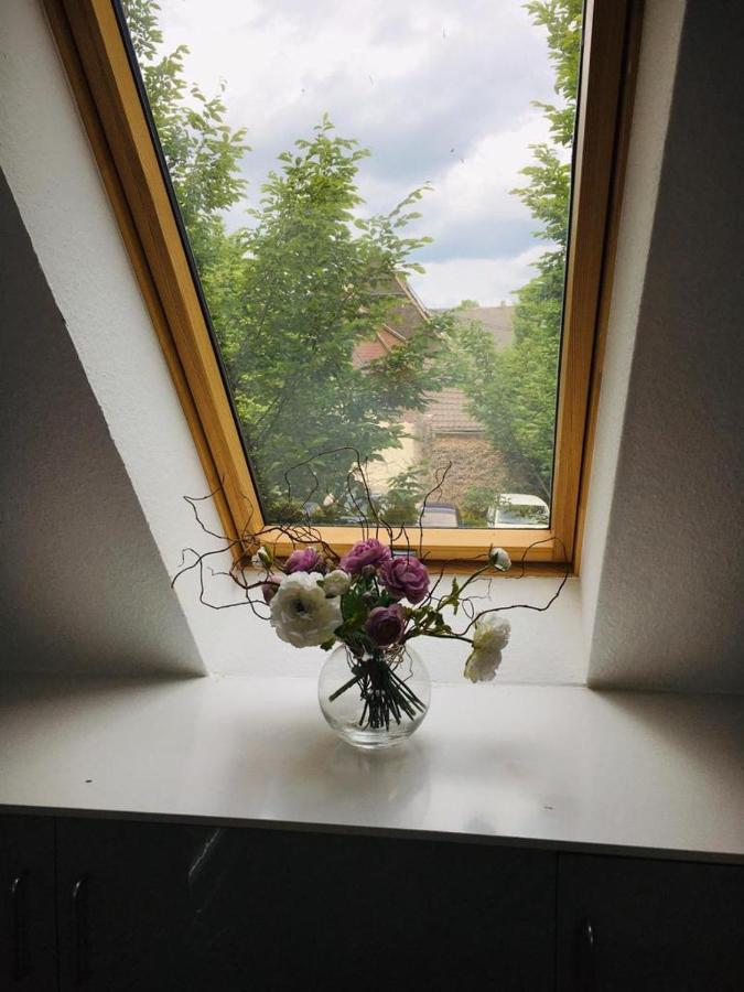 Rheingau - Schoene Moeblierte Ferienwohnung Eltville am Rhein Extérieur photo